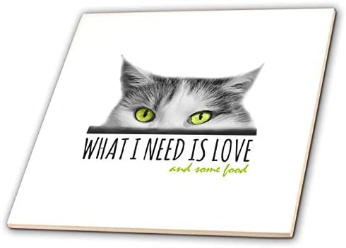 3drose adorável gato de olhos verdes. O que eu preciso é amor e um presente engraçado de comida - telhas