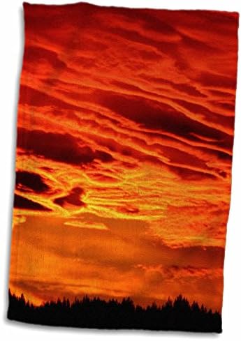 3d Rose Flame Colored Sunset Sky Hand Toalha, 15 x 22, multicolor
