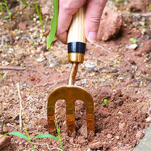 Conjunto de ferramentas de jardinagem xbwei - 3 ferramentas de ferramentas de jardinagem em aço inoxidável incluem