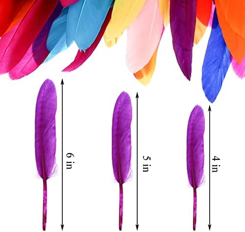 Okllen 500 Pacote penas coloridas de ganso, 4-6 polegadas de penas naturais para artesanato de bricolage, apanhadores