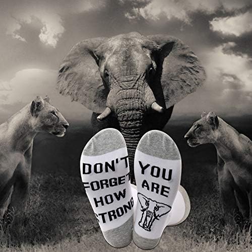 JXGZSO ELEPHANT SOCKS Não esqueça o quão forte você é inspirador de elefantes citações de elefante elefante amante presente