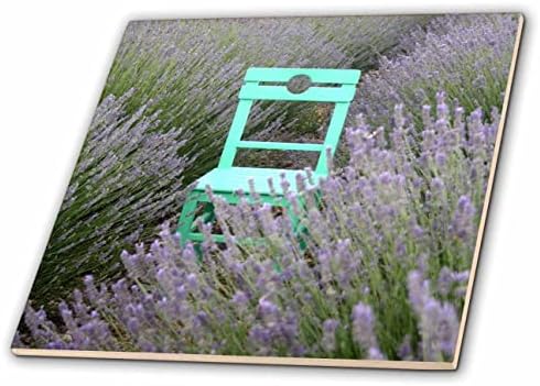 Cadeira verde 3drose em uma fotografia de campo de lavanda - azulejos