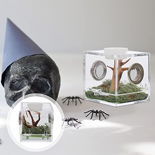 NUOBESTION 2 SET SPERRARIO TERRARIUM ACRILICA CRITE CABETER PULLING Spider Spider Closure Contêiner Snail House House Réptil Terrarium Inclosure Tank Spider Spider Spider Spider Habitat 3. 5x3. 5x4cm