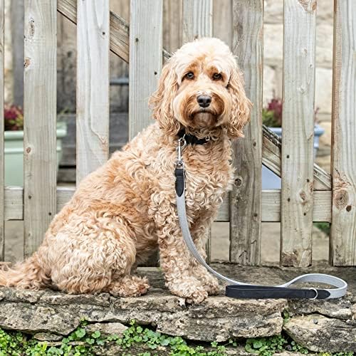 Hugo & Hudson Líder de cão de couro italiano genuíno - couro flexível de luxo e acessórios de latão para cães pequenos, médios e grandes