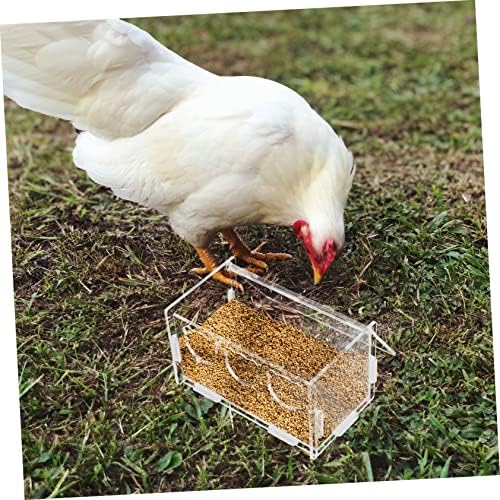 IPETBOOM 4PCS Rutin Chicken Alimentador de frango em janela alimentador de pássaros Dispensador de água de água potável alimentador