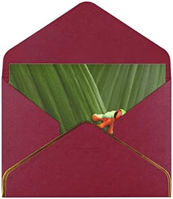 AllgoBee Greeting Cartings Tropical-Funny-Tree-Frog Envelope Blank Cards Cartões para todas as ocasiões, aniversário,