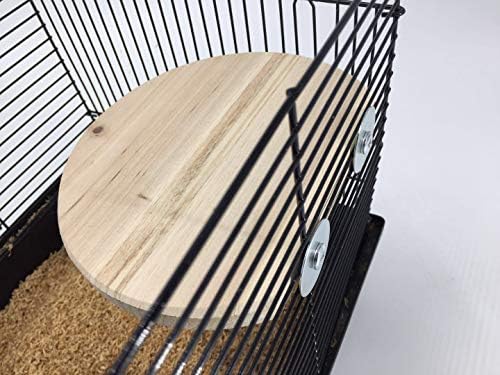 Minorpet Wood Perch Platform Stand para pequenos animais Acessórios para gaiola de animais de estimação Pássaro Parrot