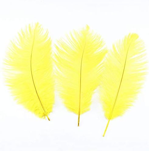 Zamihalaa Wholasale Astruz Atrruz Feather 10pcs-200pcs/lote 15-70cm Penas DIY para decoração de festa de carnaval de carnaval