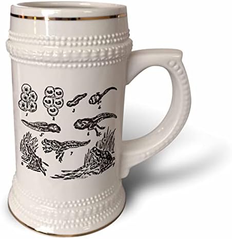 Desenvolvimento de sapos 3drose - Spawn de sapo para girino para sapo vintage. - 22 onças de caneca