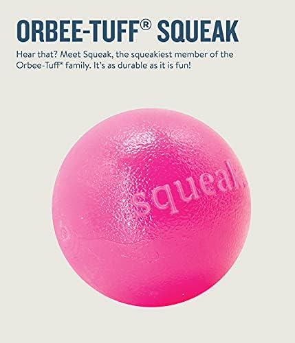 Planet Dog Orbee-Tuff Ball Squeak Pink Dog Fetch Toy