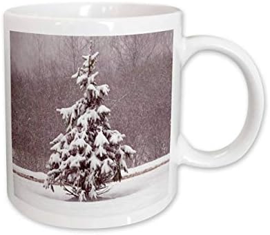 3drose small inverno sempre verde caneca cerâmica, 11 onças