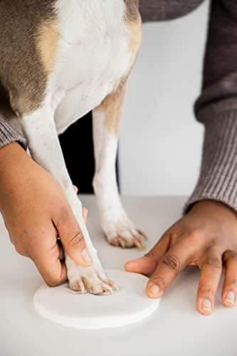 Pearhead Pet Pawprint pendurado DIY Ornamento de lembrança, cachorro ou gato, Presente de Natal do proprietário de animais de estimação, branco