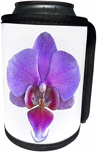 3drose boehm gráfico flor - uma orquídea roxa e de lavanda - enrolamento de garrafa mais fria