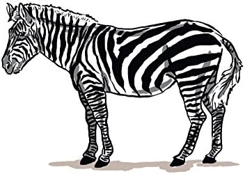 Lantern Press Zebra, ícone