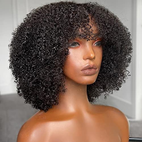 VIPBEAUTY 13x6 Afro Winky Curly Wigs Human Human Density 180% T Parte de renda peruche
