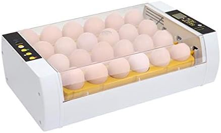 24 Incubadores de aves totalmente automáticos de ovo Injetor LED Injetor dos EUA