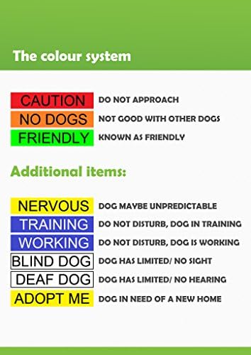 Treinamento de cores azuis codificadas por m l xl fivela cão colar evita acidentes avisando os outros de seu cão com antecedência