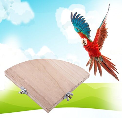 FDIT Bird Wooden Stand Platform Fan Shaped Design para Parrot Cockatiel Peraiceet