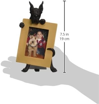 Black Great Dane Picture Frame mantém sua foto favorita de 2,5 por 3,5 polegadas, com aparência realista pintada à