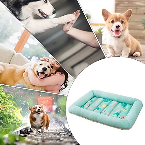 Slatiom Summer Dog Bed House Kennel Kennel Pratic Pad Dog Tapetes Sleeping Pet Supplies Aplicável para animais de estimação de menos