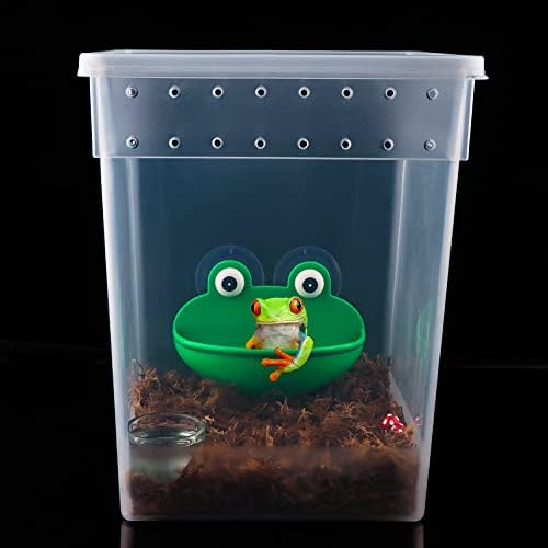 Caixa de alimentação de répteis de 10 pacote Caixa de criação de plástico transparente para dragão barbudo lagarto aranha