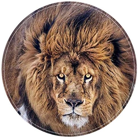 Heoeh cool animal rei leão, capacho não deslizante de 15,7 de tapete redondo tapetes tapetes tapetes para crianças quarto de