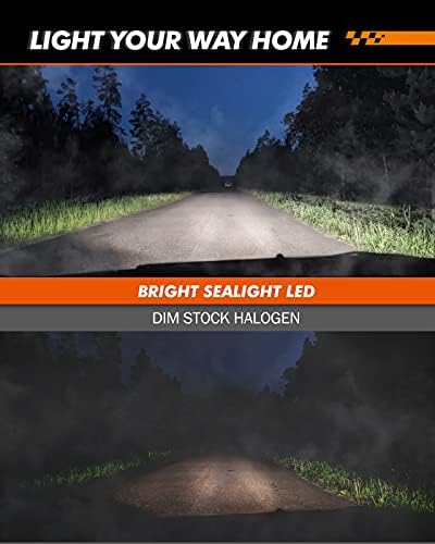 Sealight 9005 9006 LED BULS BULHO COMBO H10 Lâmpadas de nevoeiro LED, 350% BRIME