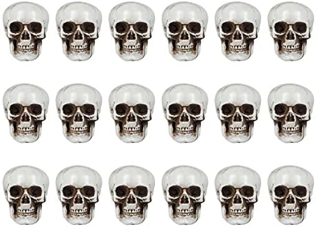 Nuobesty 18pcs mini modelo de crânio Cabeças de crânio de plástico decorações de decoração de esqueleto decoração de decoração de brincadeira de caveira cabeças de caveira para acessórios de brinquedos de truques de halloween