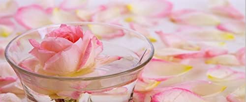 Toner de spray de água de hidrosol de rosa 32 oz para hidratação hidratante de face hidrosol de água de rosas pura e natural Todos os tipos de pele poros de pele de pele Locais de limpeza de limpeza Cocojojo - As embalagens podem variar