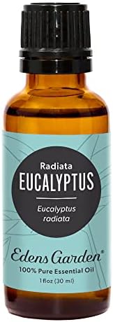 Edens Garden Eucalyptus- radiata Óleo essencial, pura grau terapêutica 30 ml