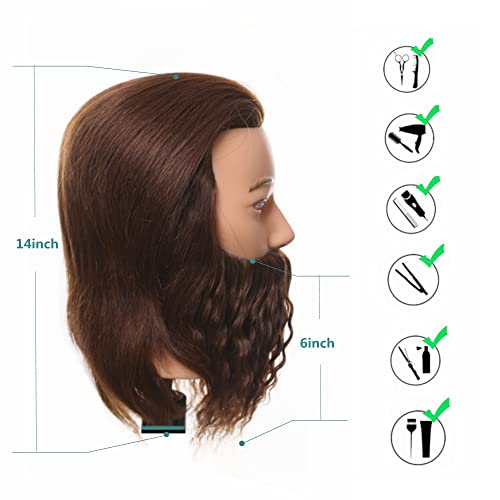 Romance Queen Male Manequim Cabeça com cabelo Humano Human Manikin For Men Cosmetology 8 Pinch Head de barba encaracolada