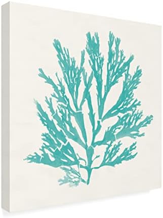 Marca registrada Bine Art 'Pacific Sea Mosses I Aqua' Arte de tela por portfólio de maçã selvagem 14x14