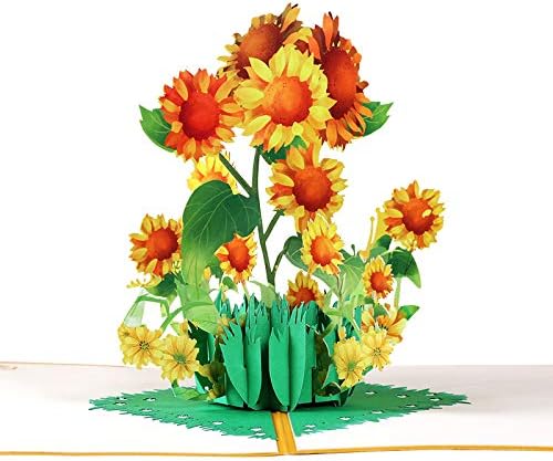 Pacote Pop -Up Flower Card, 3D Girassol Pop -up Cartões, para o Dia das Mães, Primavera, Dia dos Pais, Graduação, Aniversário,