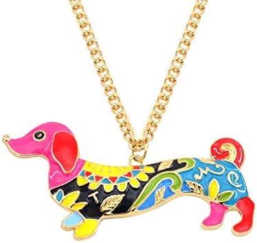 Colares cinzentos para mulheres pendentes de colar personalizado para mulheres pingando arco -íris colar de cachorro animal de animal h2o medalhão