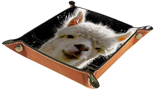 Lyetny Alpaca Pattern Organizer Bandeja Caixa de armazenamento Bandeja de mesa de mesa Caddy Alterar a carteira de carteira de caixa de moeda de caixa de armazenamento de bandeja, 20.5x20.5cm
