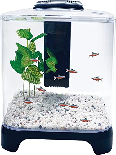 Kit de tanque de peixes betta de Penn-Plax com luz LED e filtro interno-preto-1,5 galão