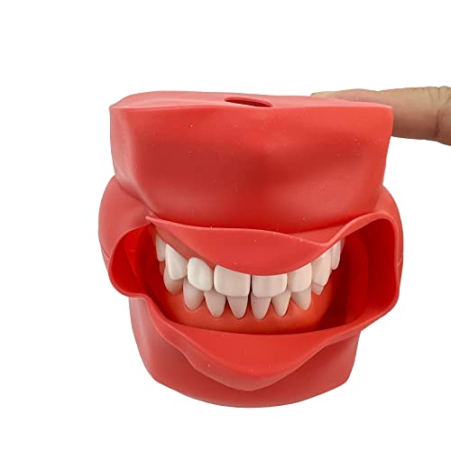 Máscara de silicone do modelo de cabeça de cabeça dental com 28 peças parafuso de dentes fixos modelo de ensino de