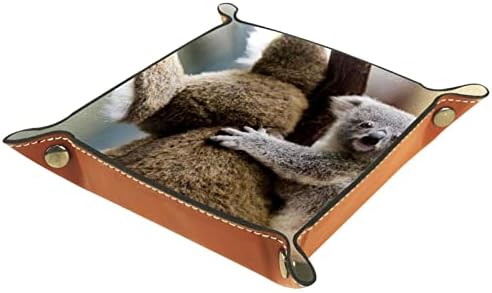 Tacameng Australian Animal Koala, caixas de armazenamento Pequeno bandeja de bandeja de manobrista de couro Greates Sundries Bandey para chave, telefone, moeda, carteira, relógios, etc.