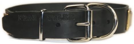 Dean e Tyler Brass Style Dog Collar - Hardware de níquel - preto - tamanho 22 x 1 1/2 Largura. Cabe tamanho do pescoço de 20 a 24 polegadas.