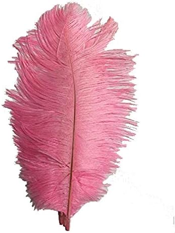 Cenfry 10pcs Avestruz Feathers 8-10 polegadas Plumes para Centropes de Casamento Decoração em casa