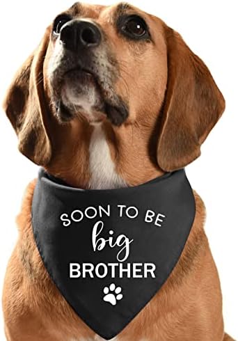 Engraçado em breve será o Big Brother Black Cotton Cotton Pet Dog Bandana, Gênero revelando foto Prop Pet Dog Bibs