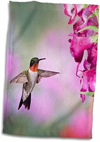 3d Rose Illinois USA Ruby throated Hummingbird. TWL_207098_1 Toalha, 15 x 22