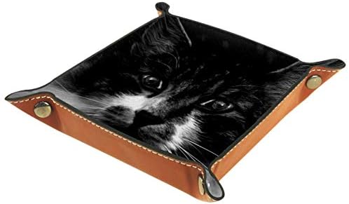 Jogos dobráveis ​​de rolagem Jogos de couro de couro Bandejas de jóias e relógios, chave, moeda, caixa de armazenamento de doces gato sentado sentado rosto de cinza cinza
