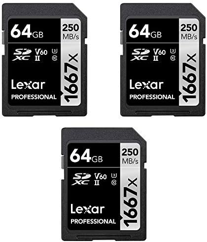 Lexar LSD64GCBNA1667 Profissional SDHC/SDXC 1667X UHS-II 64GB CARD
