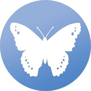Windowalert Butterfly Anti -Collision Decal