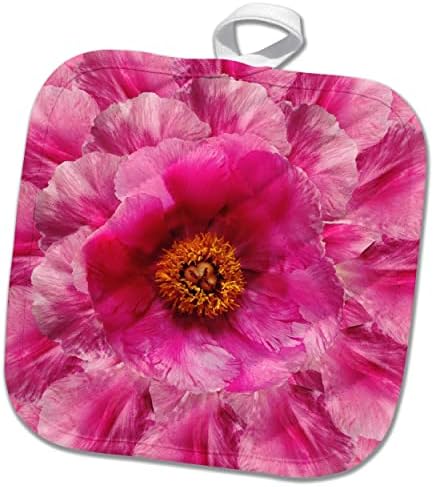 3drose Russ Billington Designs - Bela imagem de peônias rosa - Potholders
