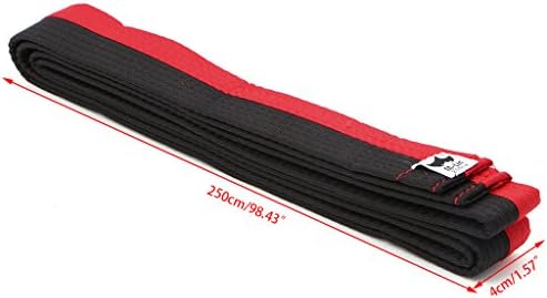 CHBC Professional Taekwondo Belt Karate Judo Double Wrap Arts Stripe Sports