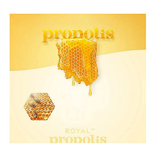 Kerasys Royal Propolis Original Shampoo Honey Blossom Fragrance 1000 ML + Tratamento