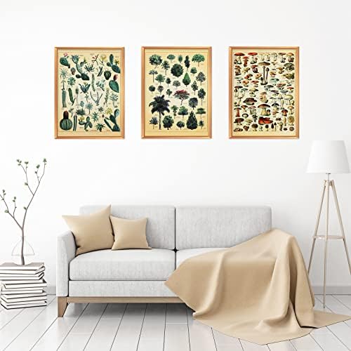 Conjunto de 6 estampas botânicas vintage de pôster de plantas 12 x 16 polegadas Decorativa Poster Árvore Arte da parede Picture