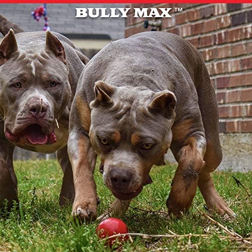 Bully Max Long During Dog Chew Toy para mastigadores agressivos, cães grandes, filhotes. Brinquedos de pit bull garantidos